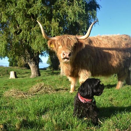 Highlands On Homestead Oamaru Luaran gambar