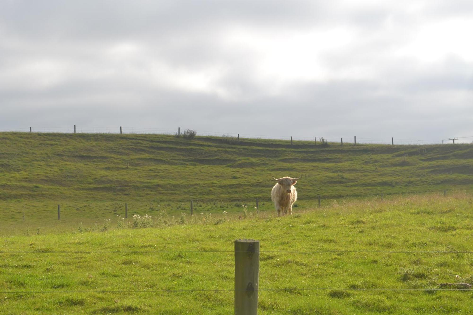 Highlands On Homestead Oamaru Luaran gambar