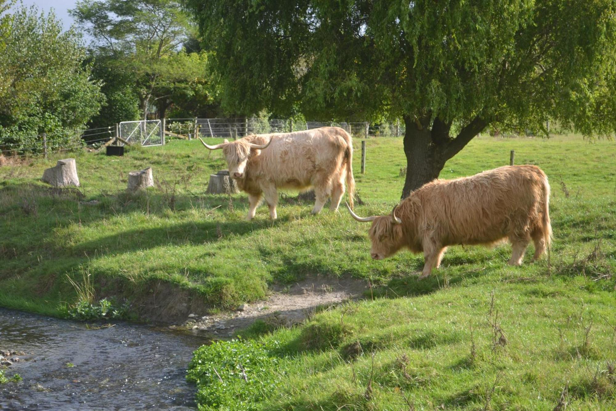 Highlands On Homestead Oamaru Luaran gambar