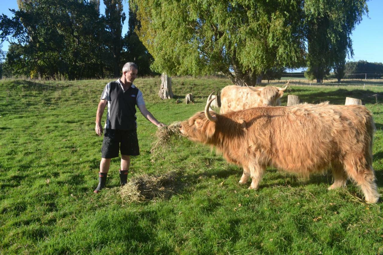 Highlands On Homestead Oamaru Luaran gambar
