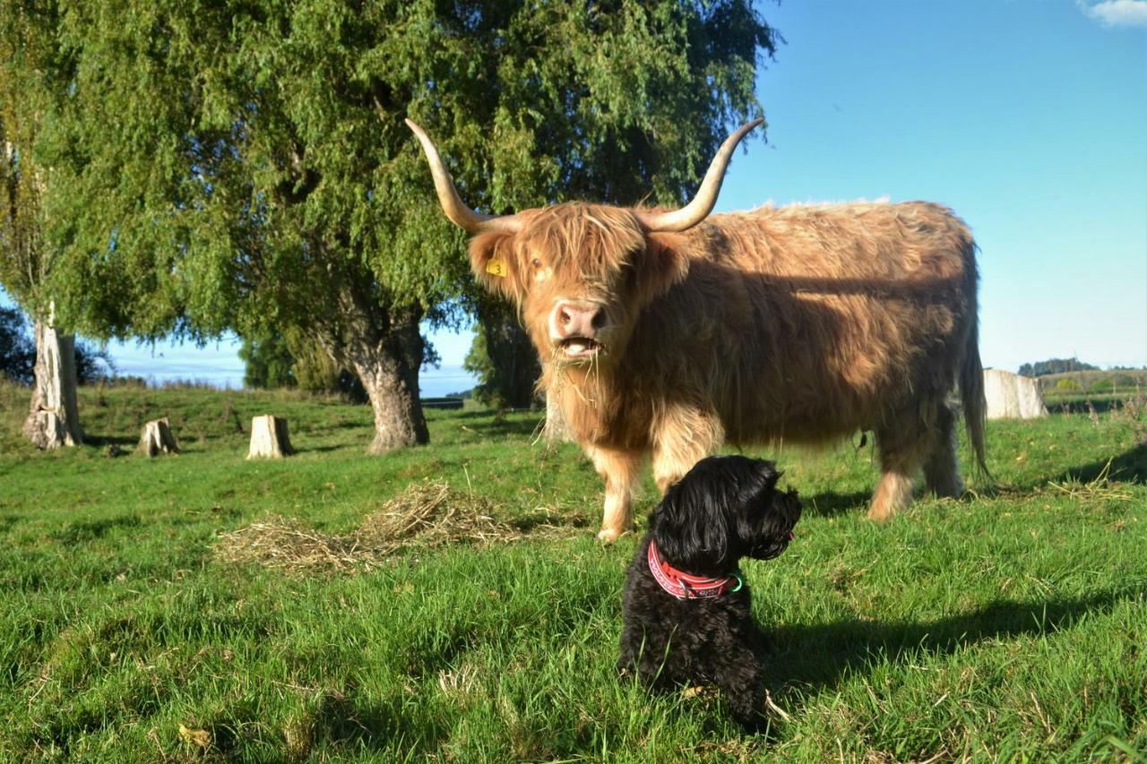 Highlands On Homestead Oamaru Luaran gambar