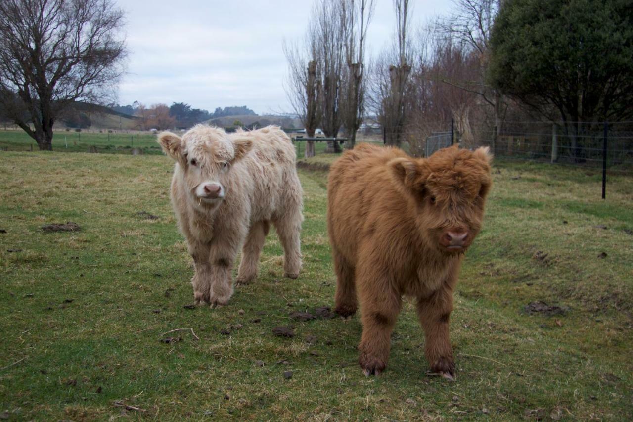 Highlands On Homestead Oamaru Luaran gambar