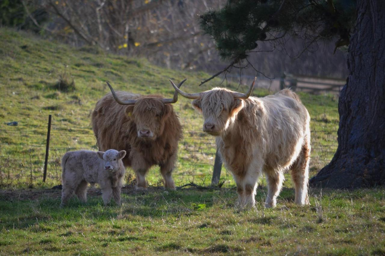 Highlands On Homestead Oamaru Luaran gambar