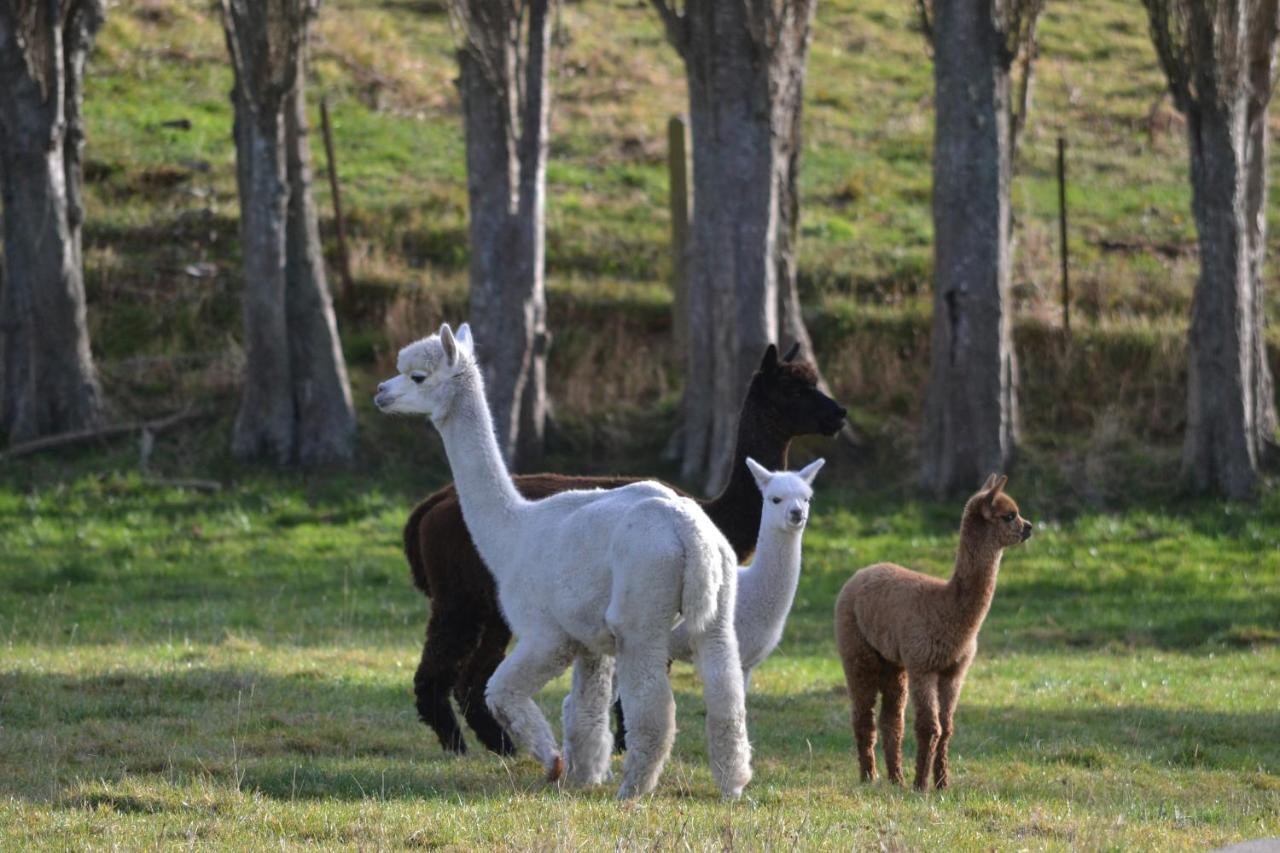 Highlands On Homestead Oamaru Luaran gambar